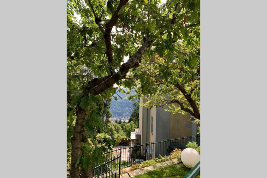 The Cherry Garden House Loft Lusso Brunate Exterior foto